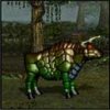 GorgonPic.jpg