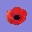 poppysmall.jpg