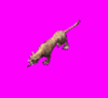 Leopard.gif