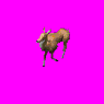 Deer.gif