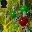 photosythesis-small.jpeg