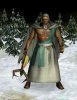 Winter Druid.JPG