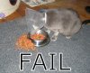 failblogpicfa.jpg