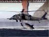 Shark%20Helicopter.jpg