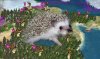 Bristle_edited-1.jpg