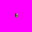 Skull2.gif Skull2.gif
