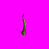 PoisonPlant3.gif