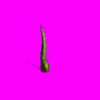 PoisonPlant5.gif