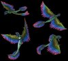 coatl_fixed.jpg
