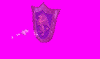 ability_MagicResistance.gif