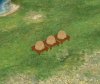 Beehive0001.JPG