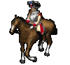 un_austria_cuirsir.gif