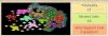 qsc18map.jpg