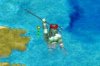 neptfortify.jpg