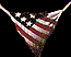 amorica1.gif