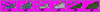 aradoare555total.gif