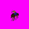 wprev2.gif