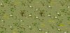swamp-huge.jpg