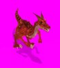 Raptor.jpg