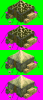 CAMOTENTEurowall.png