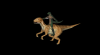 LizardRider.png