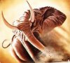 afican%20elephant.jpg