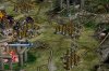 sc2.jpg