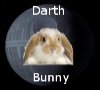 DarthBunny.jpg