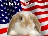 AmericanBunny.jpg