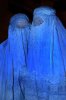 burqa_afghanistan_muslim_women_taliban.jpg