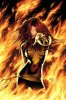 dark_phoenix.jpg