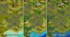 swamps.jpg