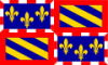 Burgundy.png