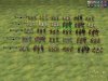 Civ4ScreenShot0007.JPG