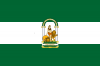 Flag_of_Andalucía.svg.png