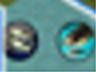 clam.JPG