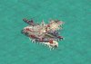 mobile base 2.jpg