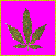 weed.gif