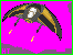 deathglider.gif