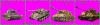 gertanks 1.gif