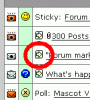 image3.gif
