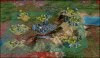 cycon_overview.jpg