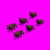 Animation3.gif