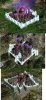 enchanted walls2.jpg