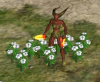 loveinflowers.png