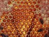 Honeycomb.jpg