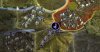 029-knife-to-back.jpg