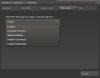 language_steam.jpg
