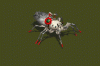 spiderider.gif