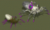 twospides.gif